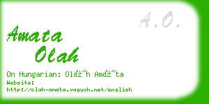 amata olah business card